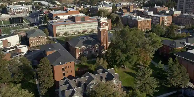 堀野 義康さん — Washington State UniversityIALC（ワシントン州立大学IALC）での留学体験