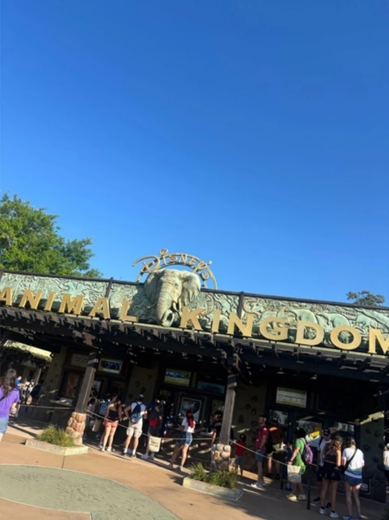 Animal Kingdom