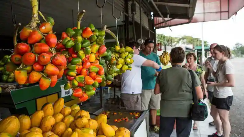 Blog post image for Costa Rican Food for the Soul