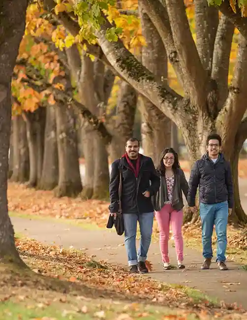 Promotional image of the Chemeketa Community College facilities