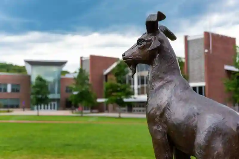 Worcester Polytechnic Institute 