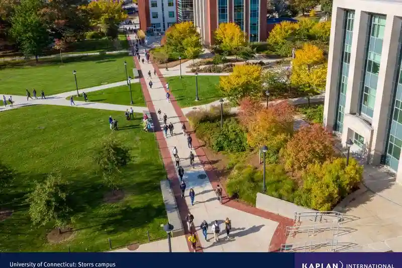 University of Connecticut 