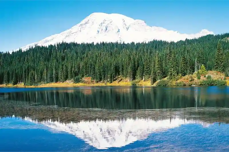 Education First Seattle 