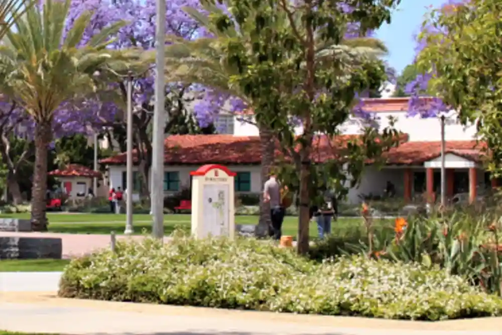 Promotional image of the Long Beach City College facilities