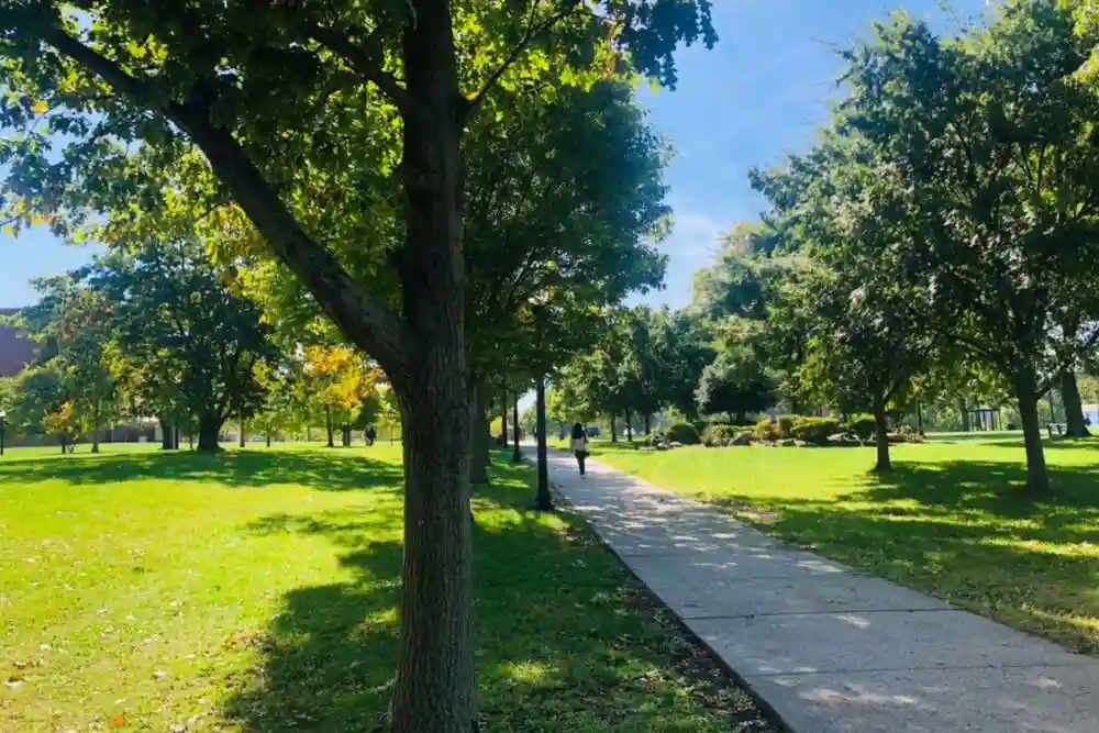Promotional image of the College of Staten Island of the City University of New York facilities