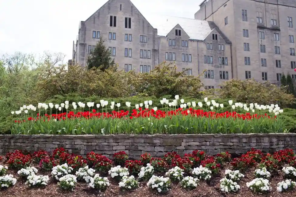 Promotional image of the Indiana University: School of Informatics, Computing and Engineering facilities