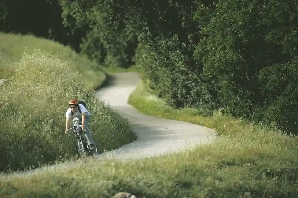 University of California, Santa Cruz - Silicon Valley Extension 